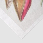 フローラエフエマデコップピンクマグノリア花 薄葉紙 (詳細)