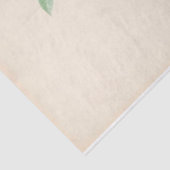 フローラエフエマデコップピンク白い花瓶 薄葉紙 (詳細)