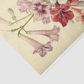 フローラエフエマデコップピンク紫の花 薄葉紙 (詳細)