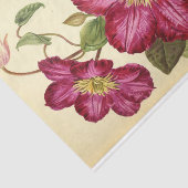 フローラエフエマデコップピンク 薄葉紙 (詳細)