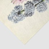 フローラエフエマデコップブルーとピンク 薄葉紙 (詳細)