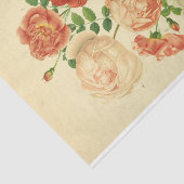 フローラエフエマデコップホワイトピンクローズ 薄葉紙 (詳細)