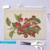 フローラエフエマデコップレッドさくらんぼ 薄葉紙 (クラフト)