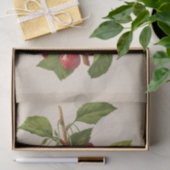 フローラエフエマデコップレッドさくらんぼ 薄葉紙 (ギフト)