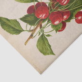 フローラエフエマデコップレッドさくらんぼ 薄葉紙 (詳細)