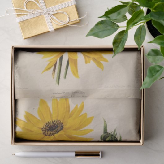 フローラエフエメラデコップイエローサンフラワー 薄葉紙 (ギフト)