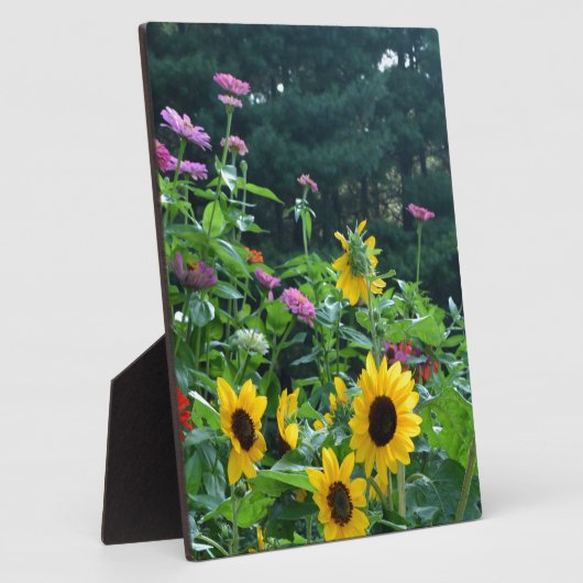 フローラエレガントガーデンひまわりzinniasデイジー フォトプラーク (側面)