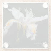 フローラエレガントクレステッドシャガ日本のアイリス ガラスコースター (裏面)