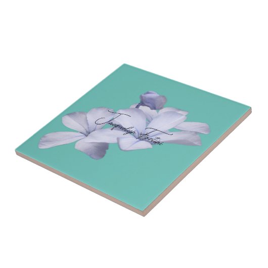 フローラエレガントミニマル書名の追加 タイル (側面)