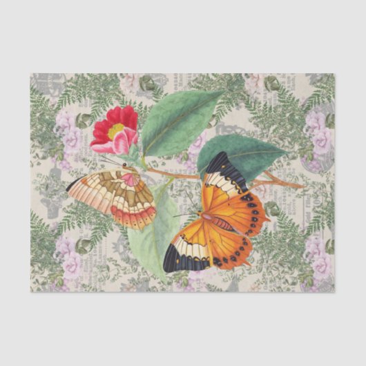 フローラエレガント蝶 薄葉紙 (正面)