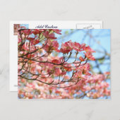 フローラカスタムポストカードピンクドッグウッド花 ポストカード (正面/裏面)