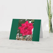 フローラカラフルと、友人、バレンタインデーのカード カード (正面)