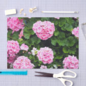 フローラカラフルピンクゲラニアム写真 薄葉紙 (クラフト)