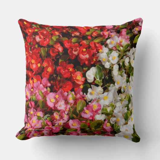 フローラカラフルメドレー・オブ・ワックス・ベゴニアス クッション (正面)