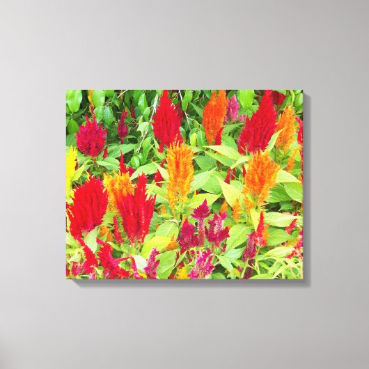 フローラカラフルー#1 キャンバスプリント (正面)