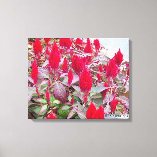 フローラカラフルー#2 キャンバスプリント (正面)