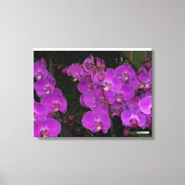 フローラカラフルー#3 キャンバスプリント