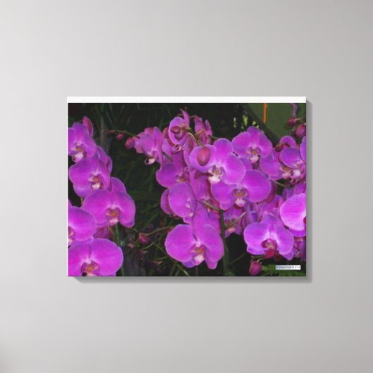 フローラカラフルー#3 キャンバスプリント (正面)