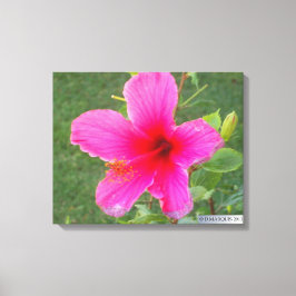 フローラカラフルー#5 キャンバスプリント