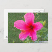 フローラカラフルー#6 ポストカード (正面/裏面)