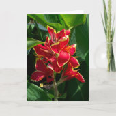 フローラカード カード (正面)