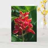 フローラカード カード (黄色い花)