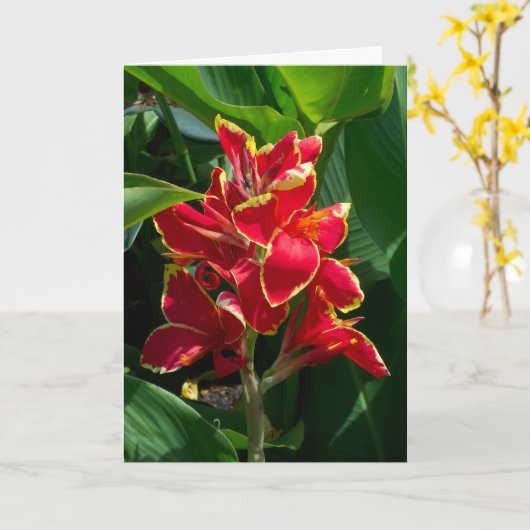 フローラカード カード (黄色い花)