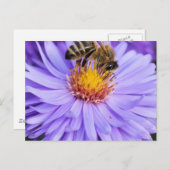 フローラガーデンパークピースラブ ポストカード (正面/裏面)