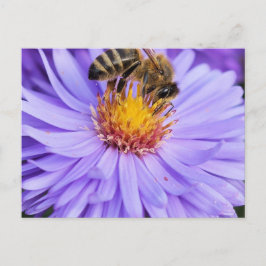 フローラガーデンパークピースラブ ポストカード