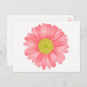 フローラガーベラデイジーピンク&イエローフラワー ポストカード (正面/裏面)