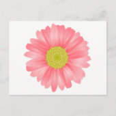 フローラガーベラデイジーピンク&イエローフラワー ポストカード (正面)