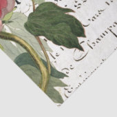 フローラクイーンビースクリプトデコページ紙 薄葉紙 (詳細)