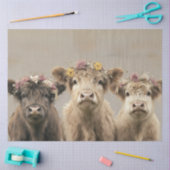 フローラクラウン高地素朴牛ウィムシー国 薄葉紙 (クラフト)