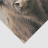 フローラクラウン高地素朴牛ウィムシー国 薄葉紙 (詳細)