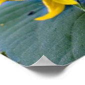 フローラクラスターひまわりクローズアップ写真 ポスター (角)