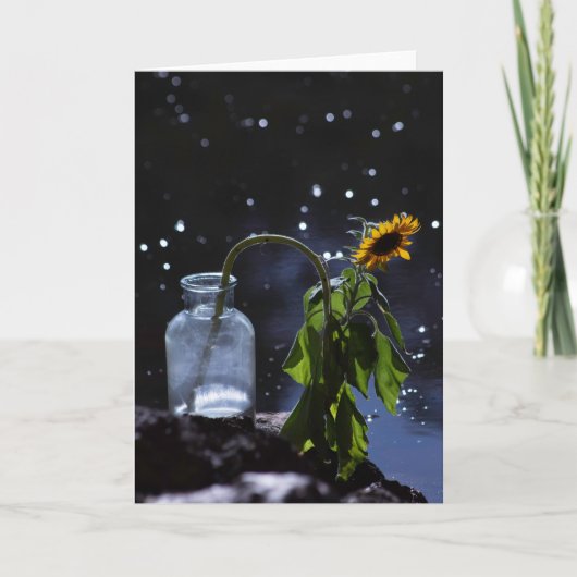 フローラグリーティングカード空白の、 カード (正面)