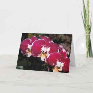 フローラグリーティングカード カード