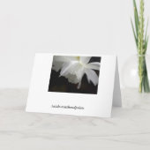 フローラグリーティングカード 招待状 (裏面)