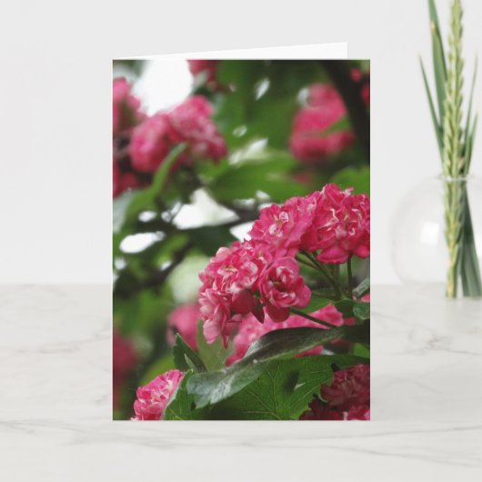 フローラグリーティングカード、標準 カード (正面)