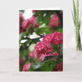 フローラグリーティングカード、標準 カード