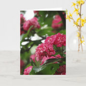 フローラグリーティングカード、標準 カード (黄色い花)