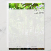 フローラグリーン苗写真カスタム住所 レターヘッド (正面/裏面)