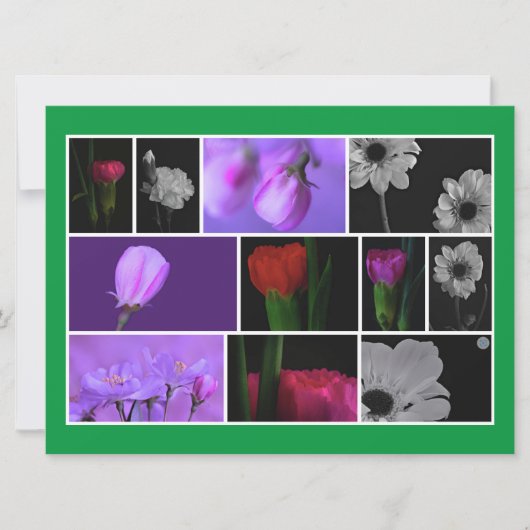 フローラコラージオンケリーグリーンフラットグリーティングカード (正面)