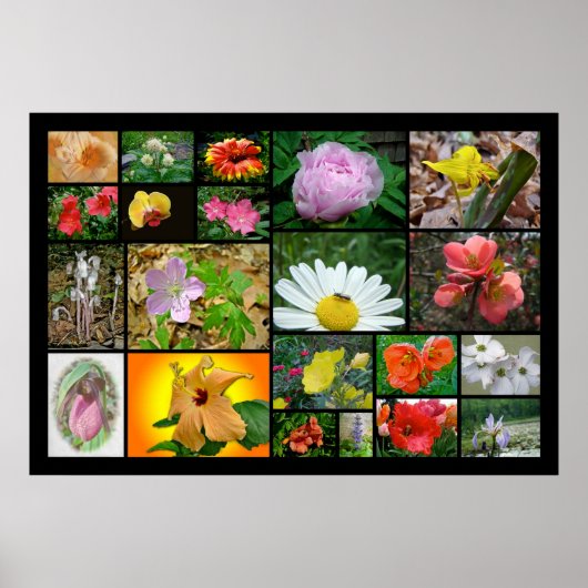 フローラコラージュ#2 ポスター (正面)