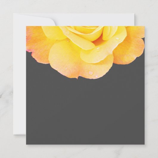 フローラゴールデンイエローオレンジグレーグレイ結婚2022s (裏面)