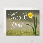 フローラサンキューイエローダッフォディルフラワー ポストカード (正面/裏面)