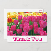 フローラサンキューイエロー&ピンクチューリップ花 ポストカード (正面/裏面)