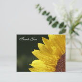 フローラサンキューカード ポストカード (スタンド正面)