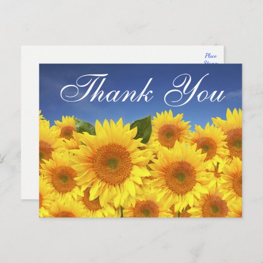 フローラサンキューサンフラワーイエローブルー ポストカード (正面/裏面)