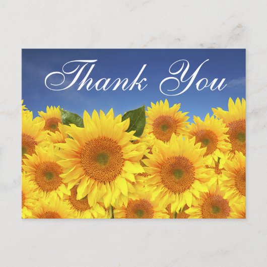フローラサンキューサンフラワーイエローブルー ポストカード (正面)